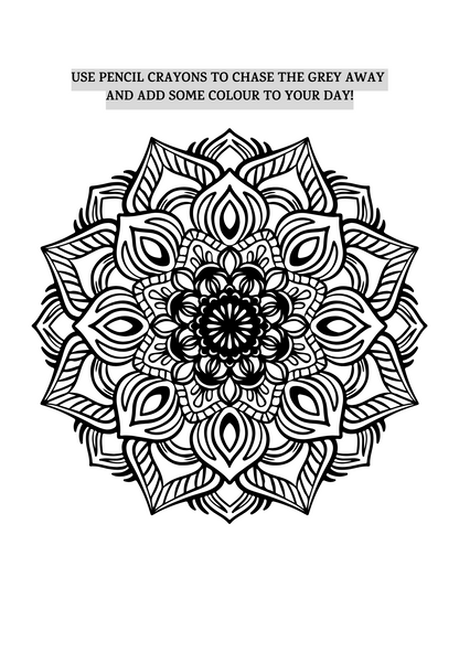 Some Angels Choose Fur Instead of Wings - Prompted Pet Loss Journal